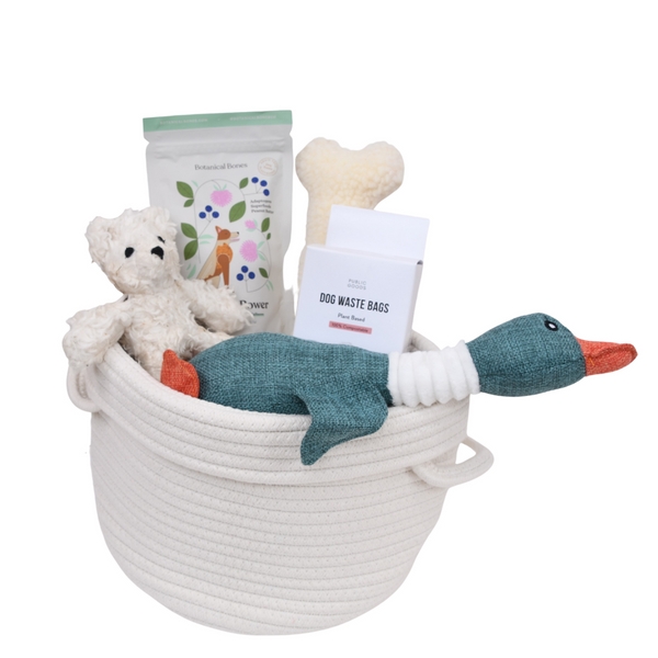 basket with toys and a toy duck