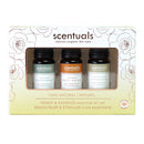 Spa Gift Basket Meditation - Sacred Spaces