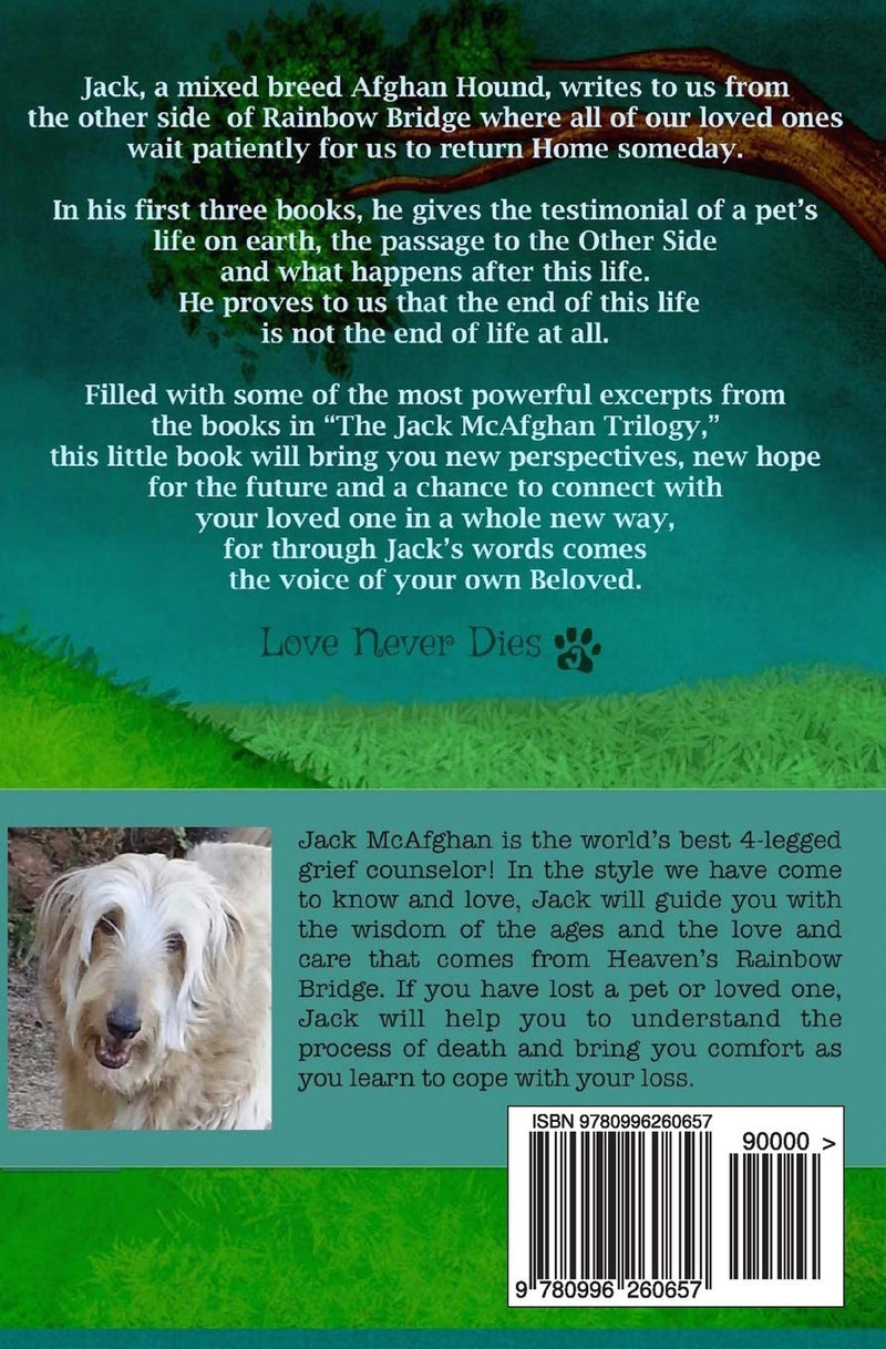 Only Gone from Your Sight: Jack Mcafghan'S Little Guide to Pet Loss and Grief